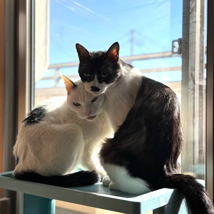 50f3caec b4ee 4558 9983 fdfb3794910a 1768438257734