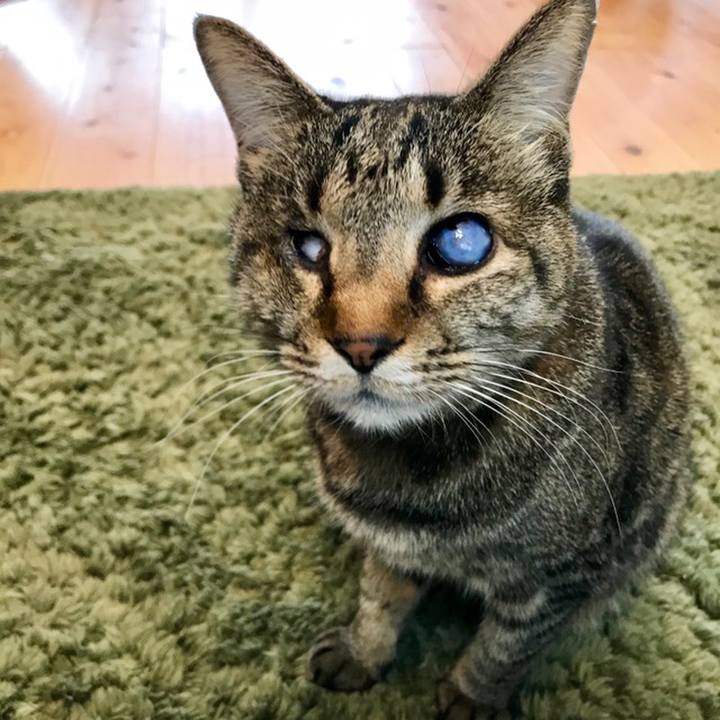 50f3d300 5b3e 4378 a9c5 e5777879fc34 1558599416234