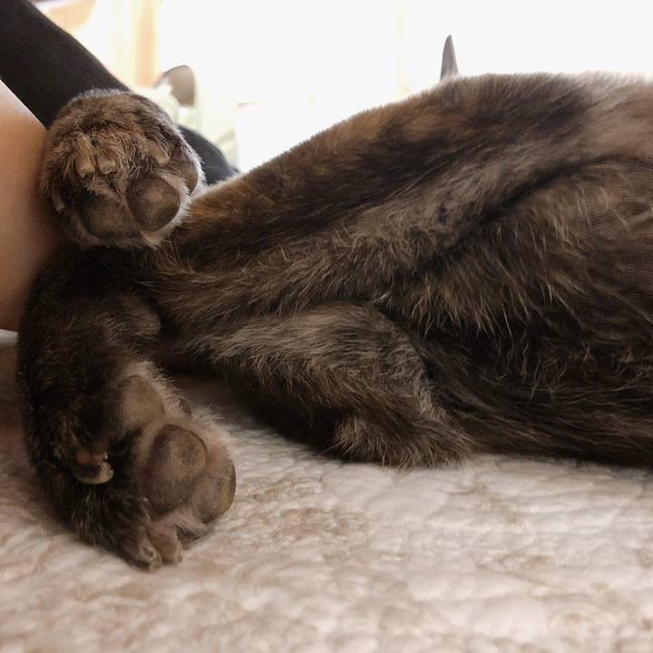 50f3ebf3 a4b2 4724 8a6b 477b09fe9e80 1566785572685