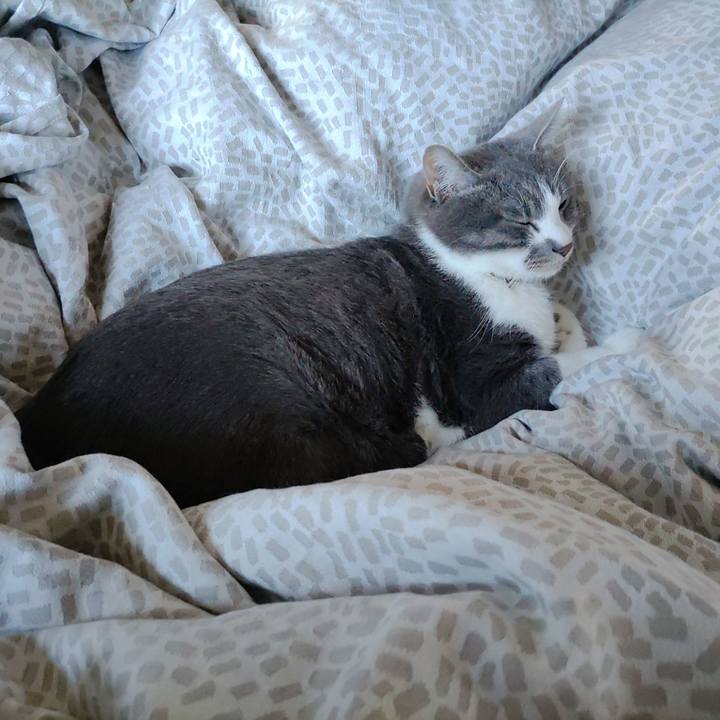 50f3faa0 641b 4a24 a087 d1fd5f32aa10 1706573213896