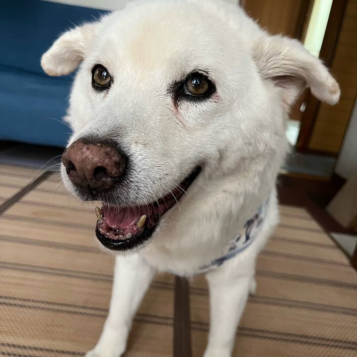 50f42041 e2f6 49ce b683 9309609d69d9 1759274774835