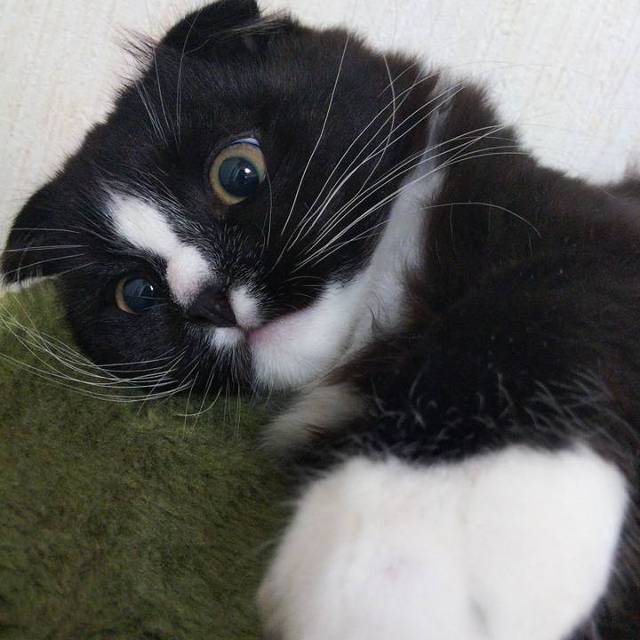 50f43262 e458 431b 8e8b db7dbfc03969 1642683752556