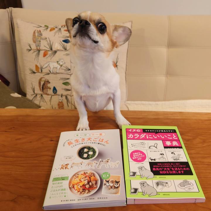 50f448f0 ec62 4c12 85ac 5d7169ccd511 1671006604125