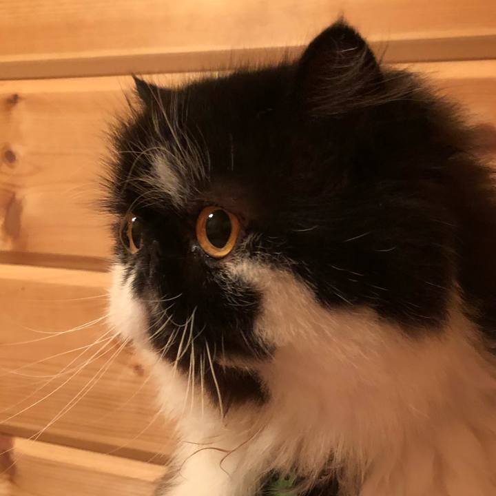 50f465db 7ddd 4d9f 9343 a353cf510f3e 1560602724614