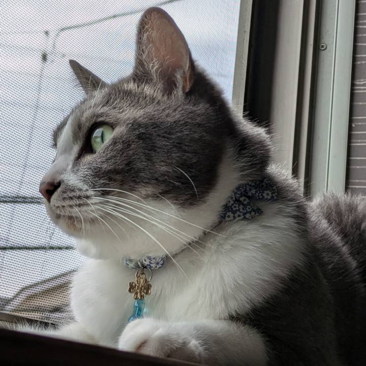 50f4bb19 e0e7 4469 945d 463cda10782e 1726903021331