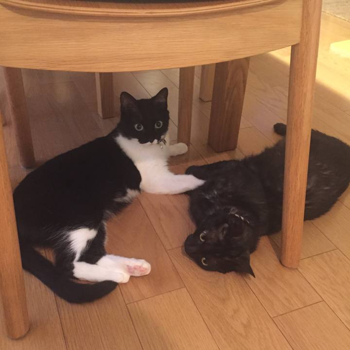 50f4f284 b477 4e8e a16f 2afacf2f3616 1534647749835