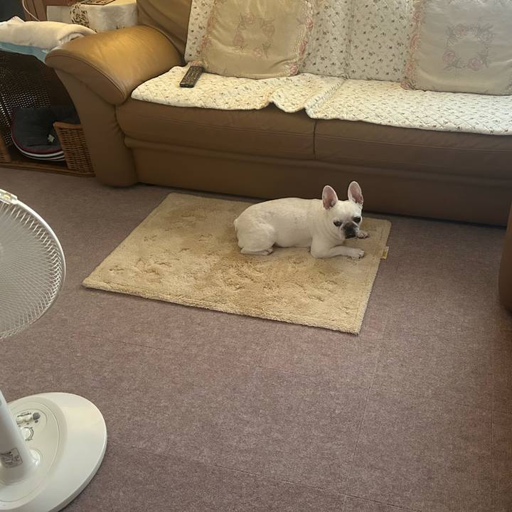 50f52574 befb 481e 8856 bc7a4c24f786 1721654665824