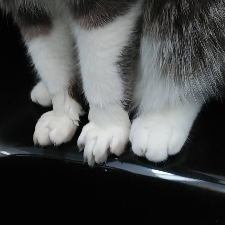 50f53bf0 e2ba 4fb0 9055 d826d53c1e67 1583710128564