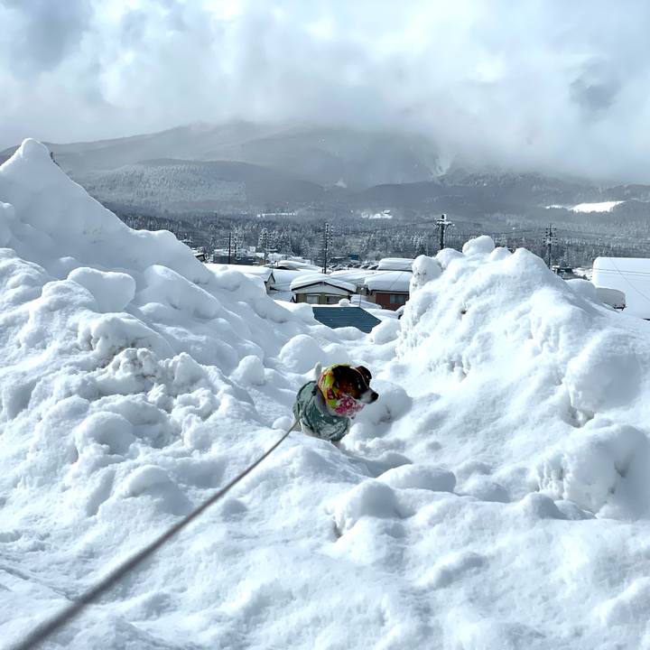 50f5723f 8eed 40db a160 7481c3f457df 1645609091407