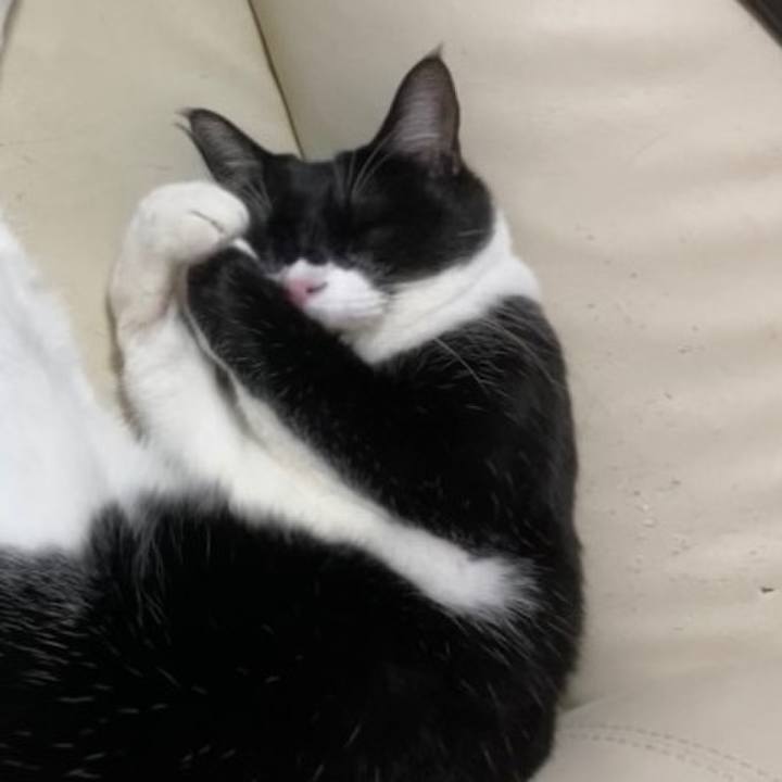 50f5775b 43b8 455d b631 68333673316c 1697975804083