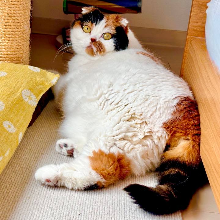 50f578d7 2bdb 45e2 8134 d41b02e39e11 1713761947529