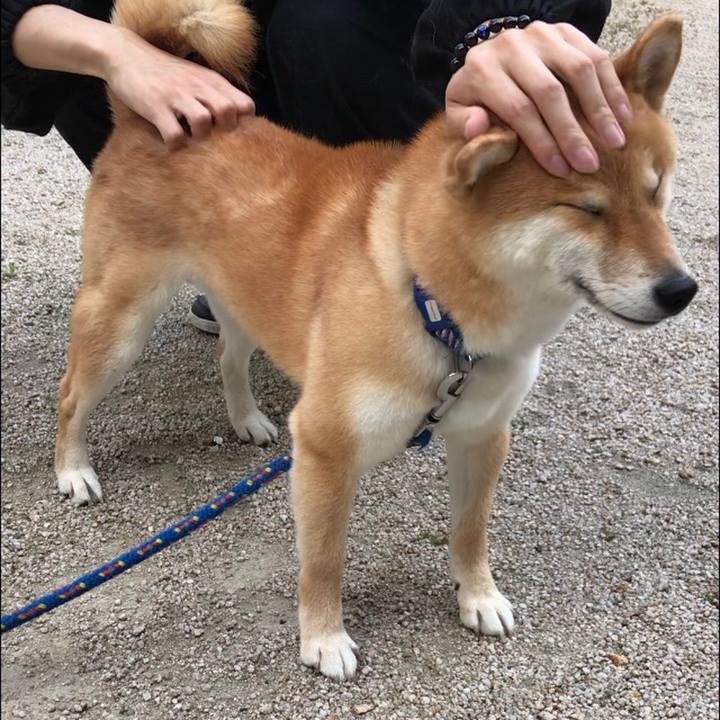 50f580e1 9407 423d b887 a888fbc7a56d 1557391504407