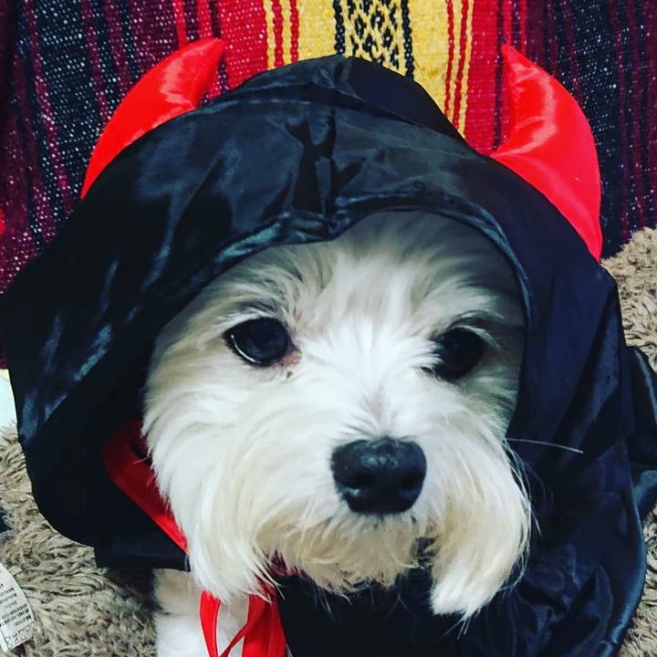 50f58601 e9ad 4d9c a157 6ead7f129af9 1570263740966