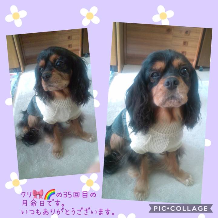 50f58bdc ef9a 438d 9c5a 4360fb8702bc 1553180819344