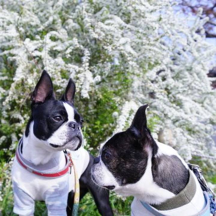 50f58d58 960f 44ac 9294 669a04aabaec 1522728362277