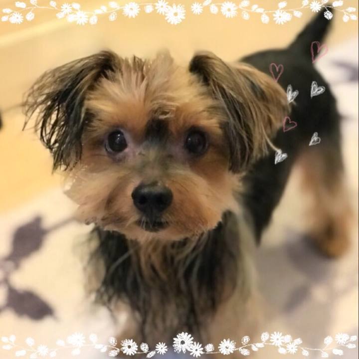 50f5bdbc d1fd 4043 982a 23ddf2bc9f7c 1508047366801