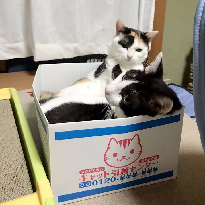 50f5f596 0ca2 4d7b b687 8f7210d817d8 1537369032302