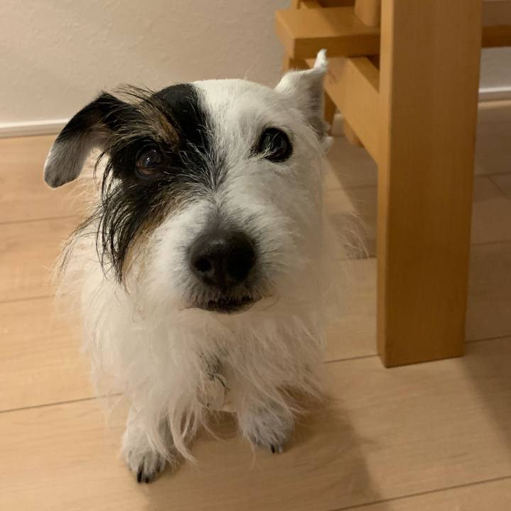 50f60942 f31c 42ca a041 270d7957d697 1675942759878