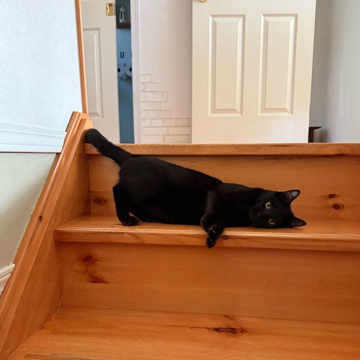 50f610db 230f 49c8 86af 9ff4c954a65a 1769918864250