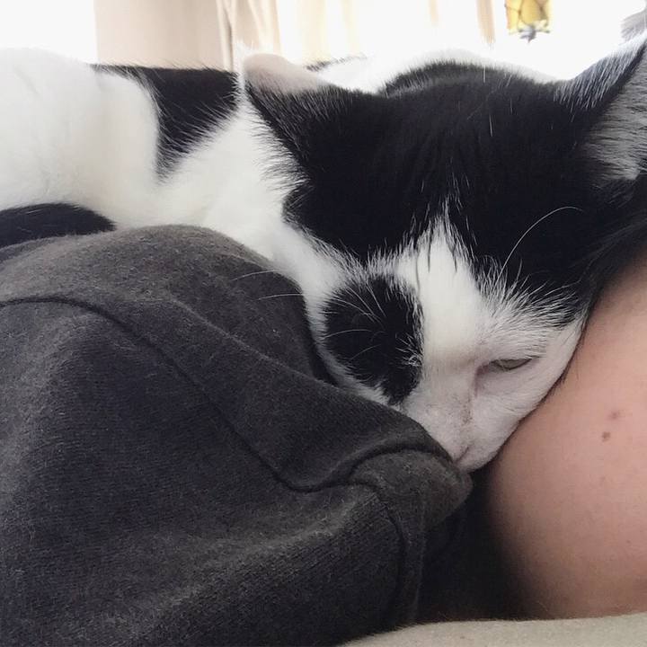 50f62660 3635 4a67 9548 67f1ea6a38df 1517706632070