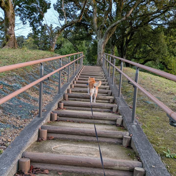 50f66a0f 1338 4809 97da b35ad2f17ce4 1762772026391