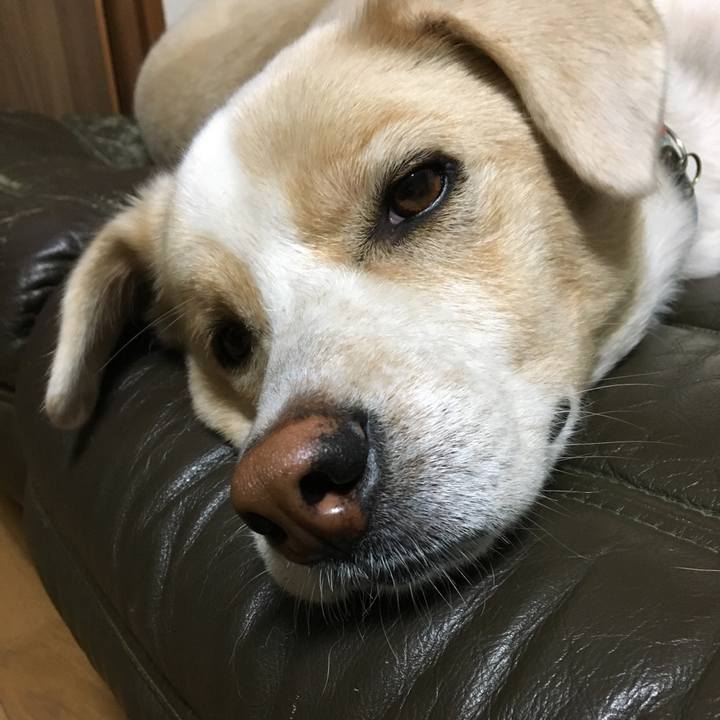 50f6a63d bbcb 4016 9cde b575e3e2ad7d 1540823604400