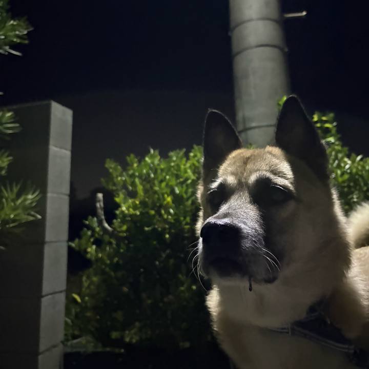 50f6ec52 494e 4552 83c3 09bd8895740c 1762865164798