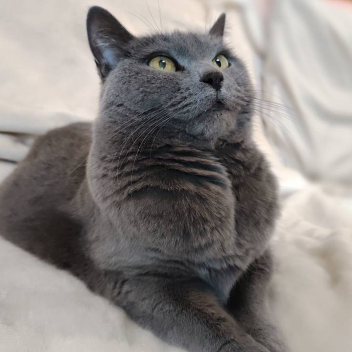 50f7435e f5aa 42b4 9cbd df89cfa6d5f2 1768705830465