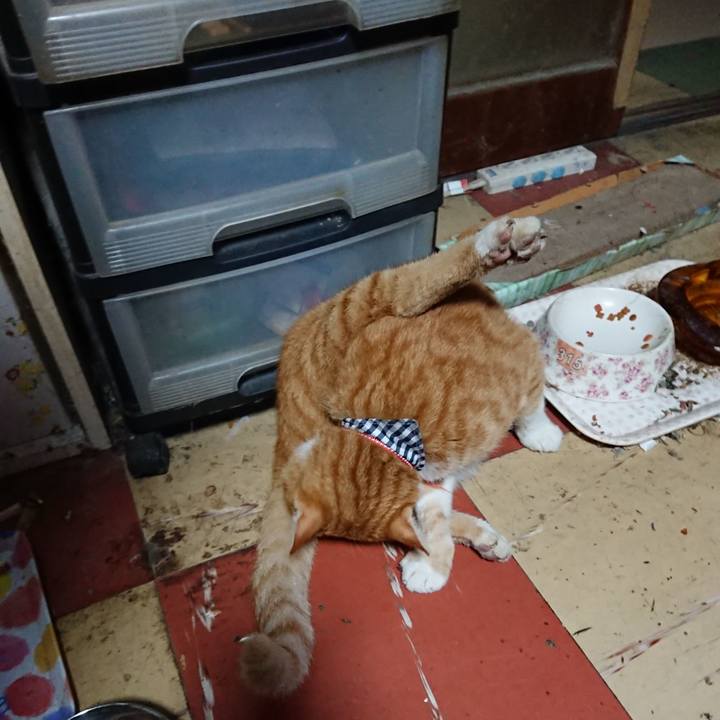 50f76039 d94e 4a85 92c0 36b469026efa 1569269109219