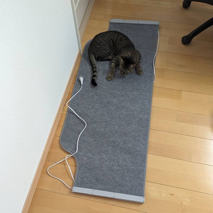 50f77d76 d831 46b7 b4df fddce848f939 1713325731961