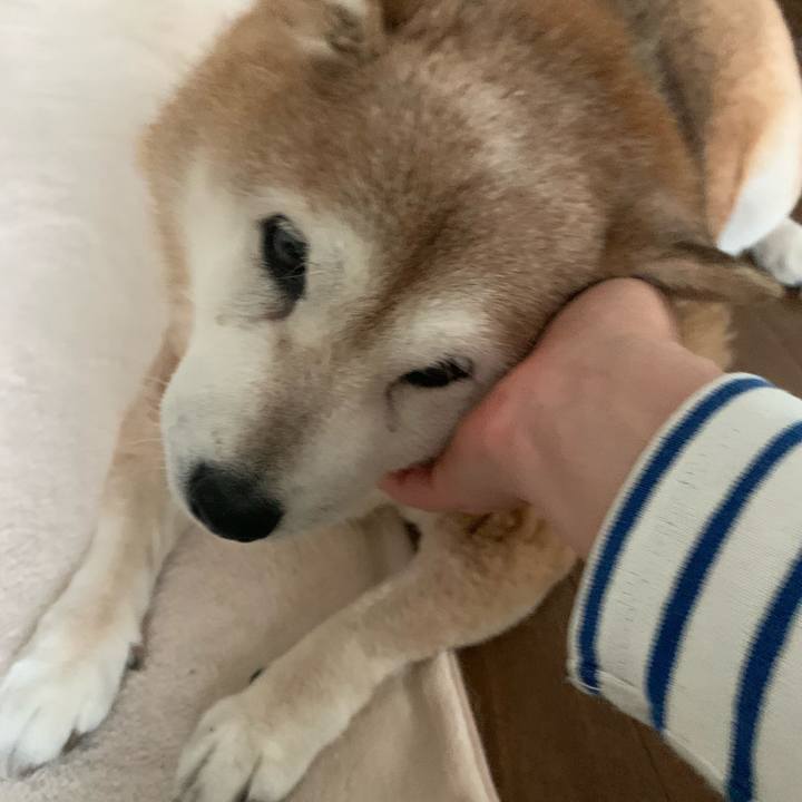 50f78cf9 379d 4b4f a5b0 d97626b5b1db 1616296800218