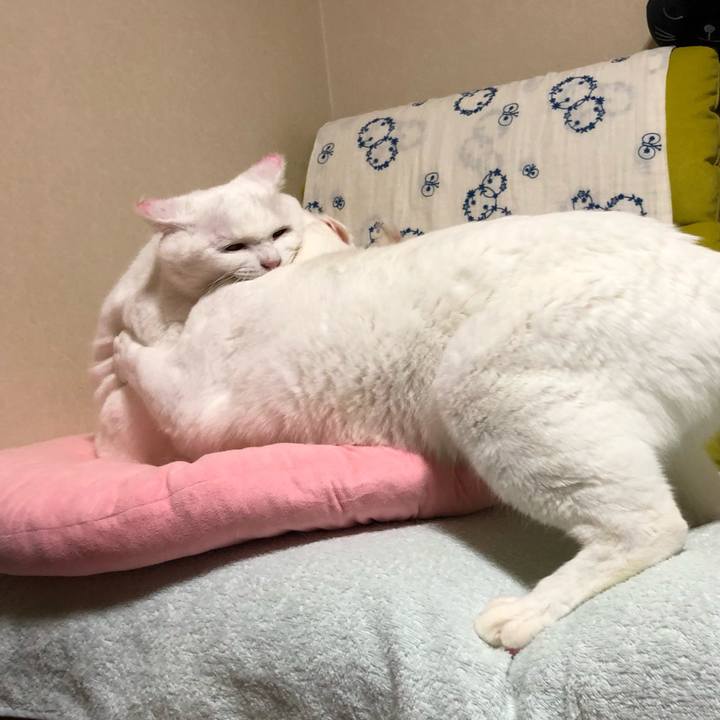 50f7cd3d 987b 4f8a 9462 a17c75f9a943 1571919175208