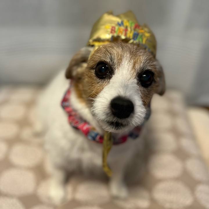 50f7e56a 40e0 4198 bd9c 774a395926b1 1762047834820