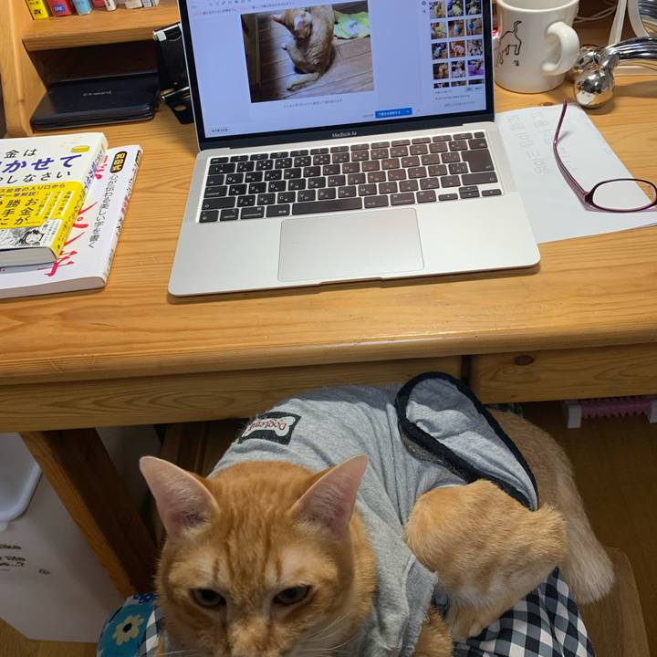 50f7f0ed 744a 4740 9db1 cf6e88d7d930 1641815352210