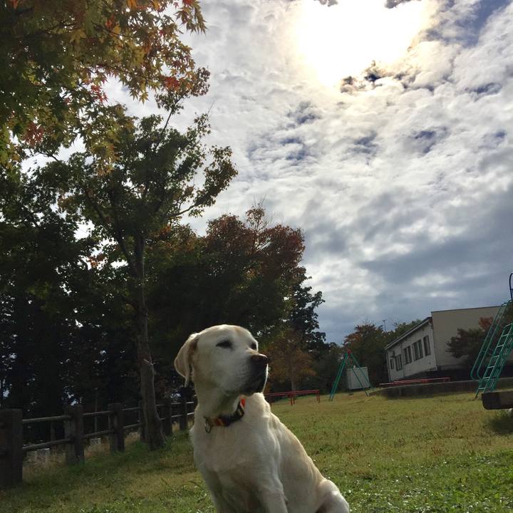 50f80414 2fc5 4ba6 b2e1 d40bcc7ad973 1509431909324