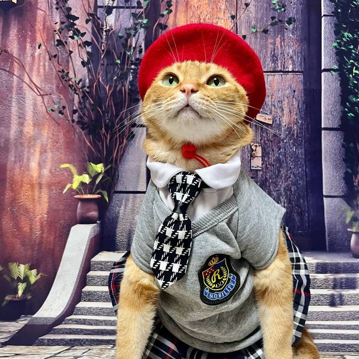 50f80476 6e97 4d71 b192 016a1dac0099 1692915514641