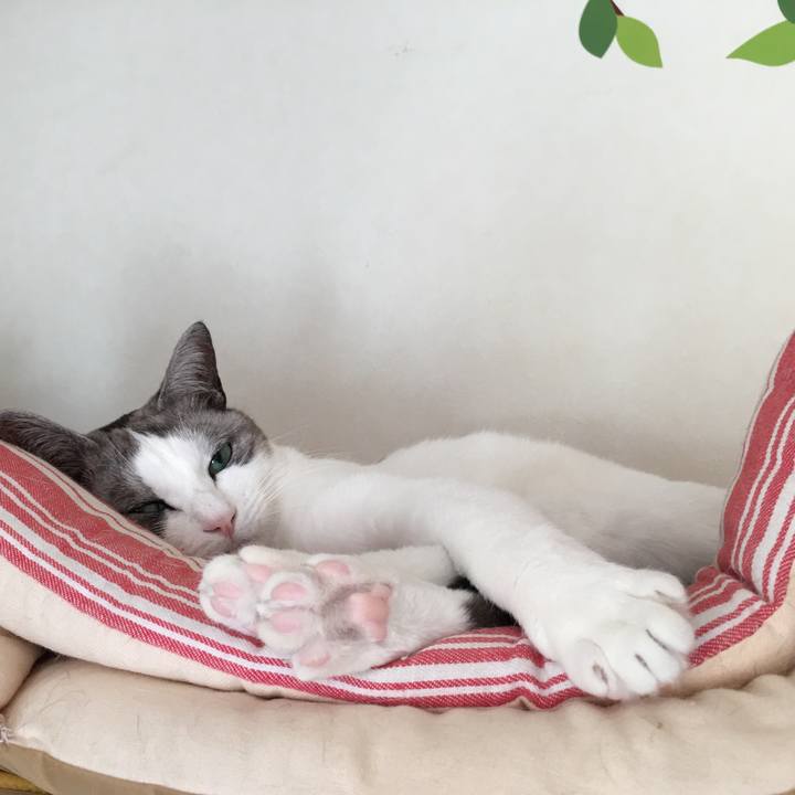 50f82bcf 8306 4c6e a687 91015a346fc3 1513212328917