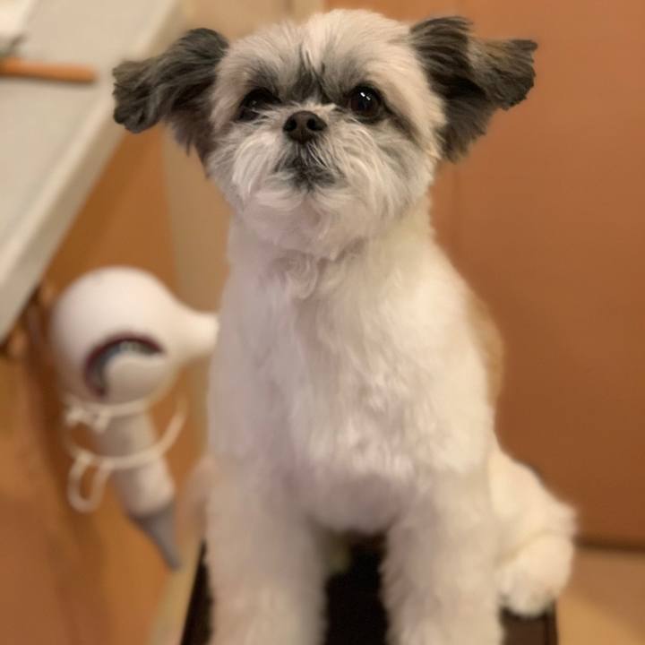 50f87fb0 fe46 408c a6b6 b6a7af0c9808 1579833340202