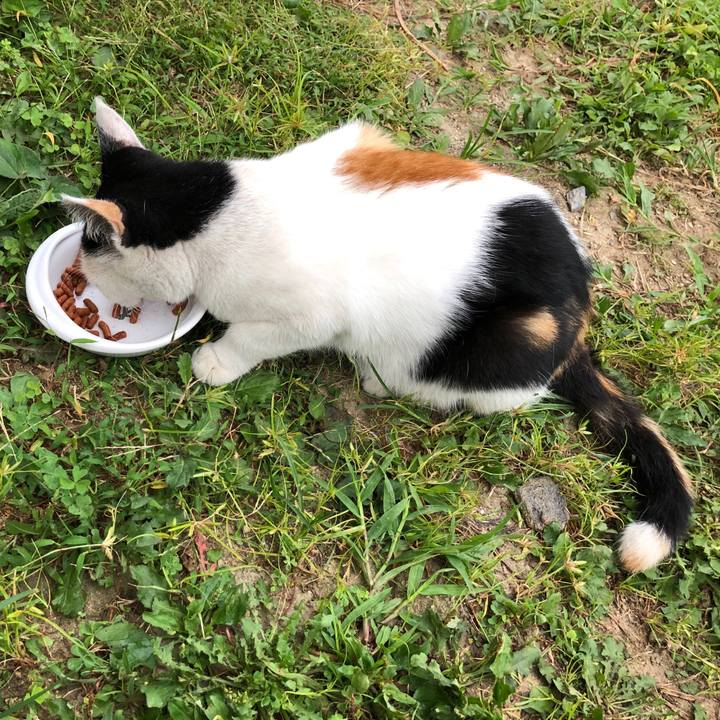 50f8e00d a855 4c04 a0c0 9ce877890707 1599172196319