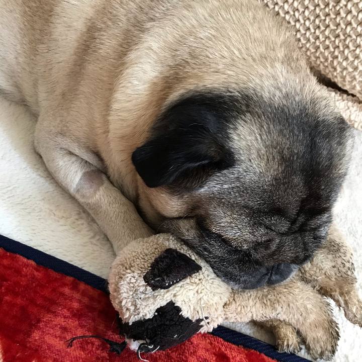 50f90cd5 9f60 49c6 aacb aea7e325e7a8 1603335093058