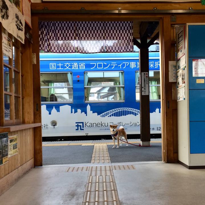 50f94478 bb1a 428c b237 8ce070bb0ed6 1509698278055