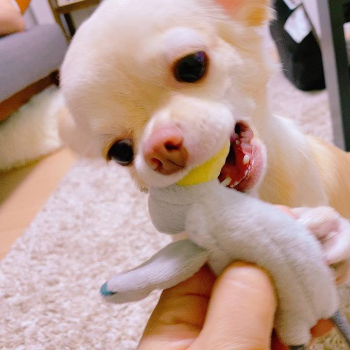 50f96308 9ca8 43cf ba30 93bf9f68043f 1628752628313