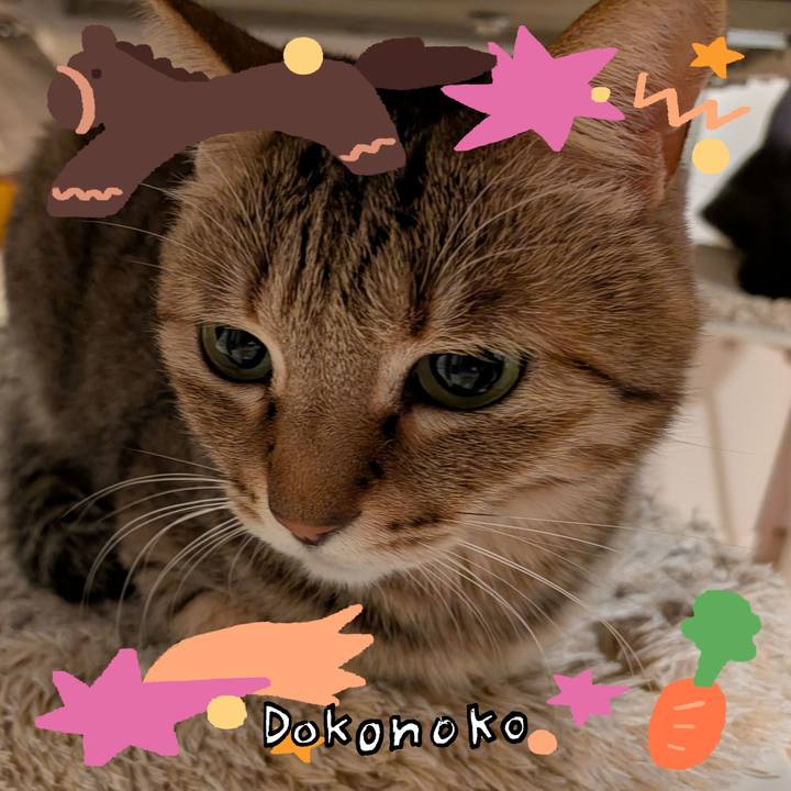 50f972a1 2ffb 4b10 a0de 4c80c9839689 1771882965472