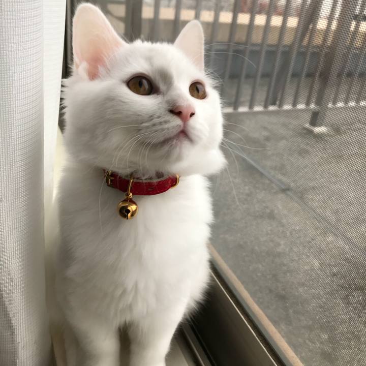 50f98049 fe29 4f4a b875 26fc1bf744bd 1511137136253