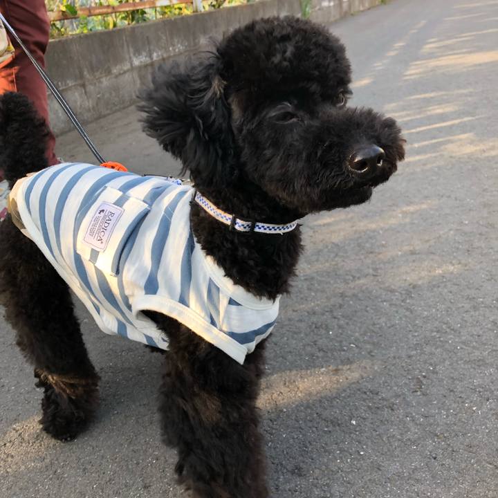 50f9acd8 63a4 435e bdb3 44c842ebe137 1524989972015