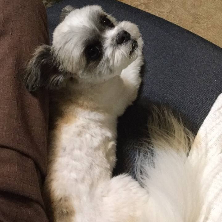 50f9c034 4a77 4f3c 8182 a5ad98d7b695 1533986925750