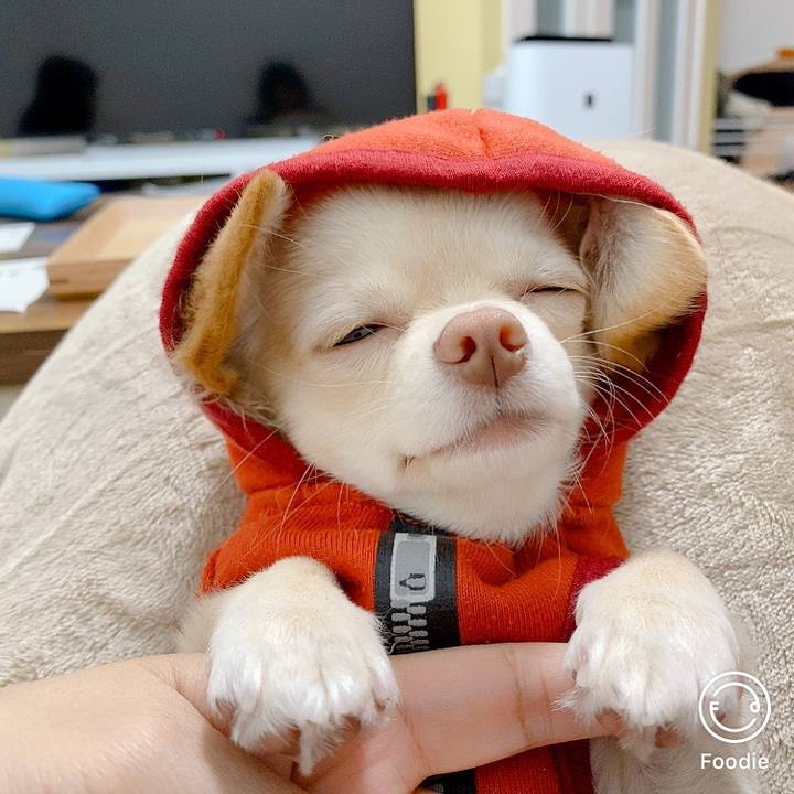 50f9e8eb ff89 4a1a 8406 273a846a28e4 1607169526489