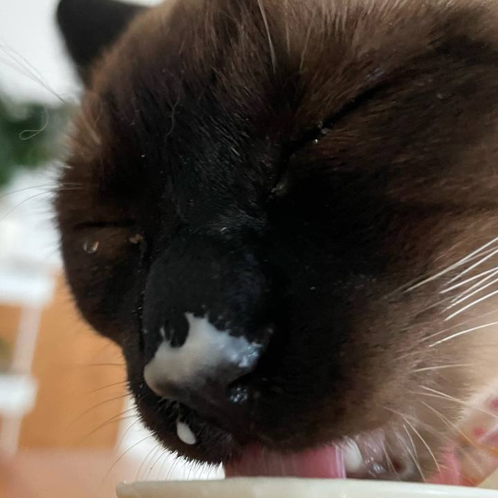 50fa353e f15d 4af7 a56b 20319669dd65 1717105212675