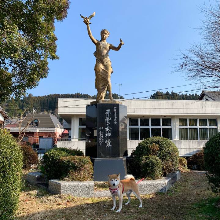 50fa3b77 a84f 4dbd b287 ca5a28c93ce1 1640164383239