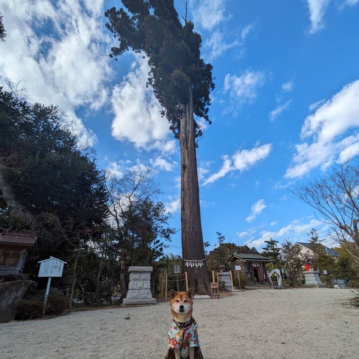 50fa4368 7031 473b 91dc 2155898ebb78 1704642015147